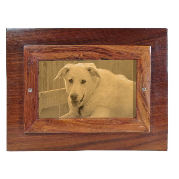 pet urns