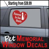 Pet Cremation